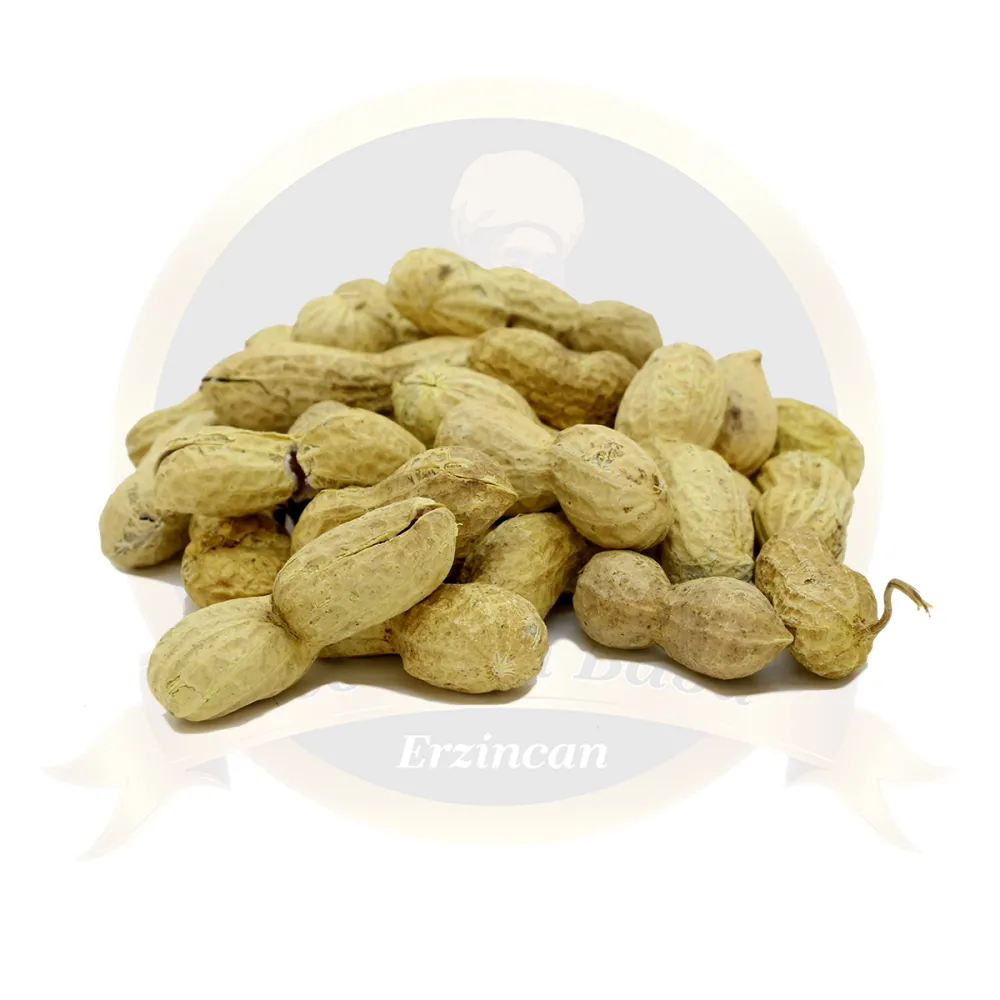 Fıstık